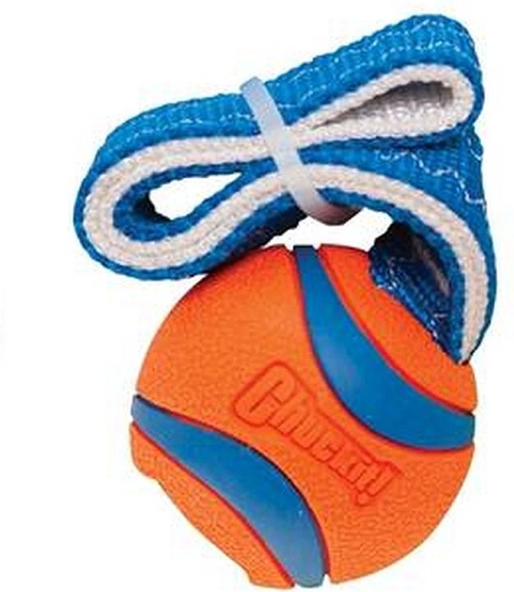 Chuckit! Chuckit Ultra Tug – Hondenspeelgoed - Blauw/Oranje – Large - ø 7 Cm - Afbeelding 3