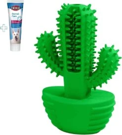 Tandenborstel + TANDPASTA Hond Melk Geur Smaak En Piep Honden Speelgoed - Cactus Dog Toy Tandverzorging Kauwbotten Hondenspeelgoed Hondenbot Kauwstaaf Tanden Puppy Hondenspeeltje Sterk Kauwspeelgoed - Dutchwide