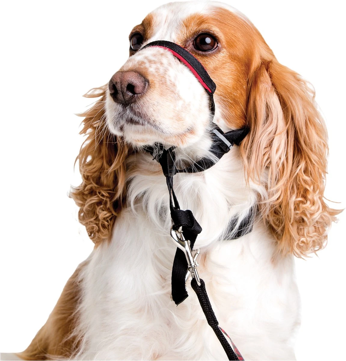Halti OptiFit Headcollar - Hond - Anti Trekhalsband - Maat M - Voor Labrador, Boxer, Dobermann, Golden Retriever - Afbeelding 3