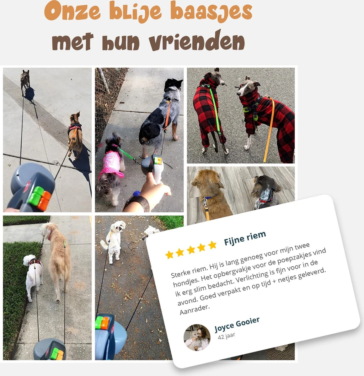 Dubbele Honden Riem – Leiband Hond – Hondenlijn – Looplijn Hond – 2 Honden – 3 Meter – Tot 12kg Per Hond – Reflecterende Lijnen – Met Zaklamp – 360° Draaien – Verstelbaar - Zwart - Afbeelding 7