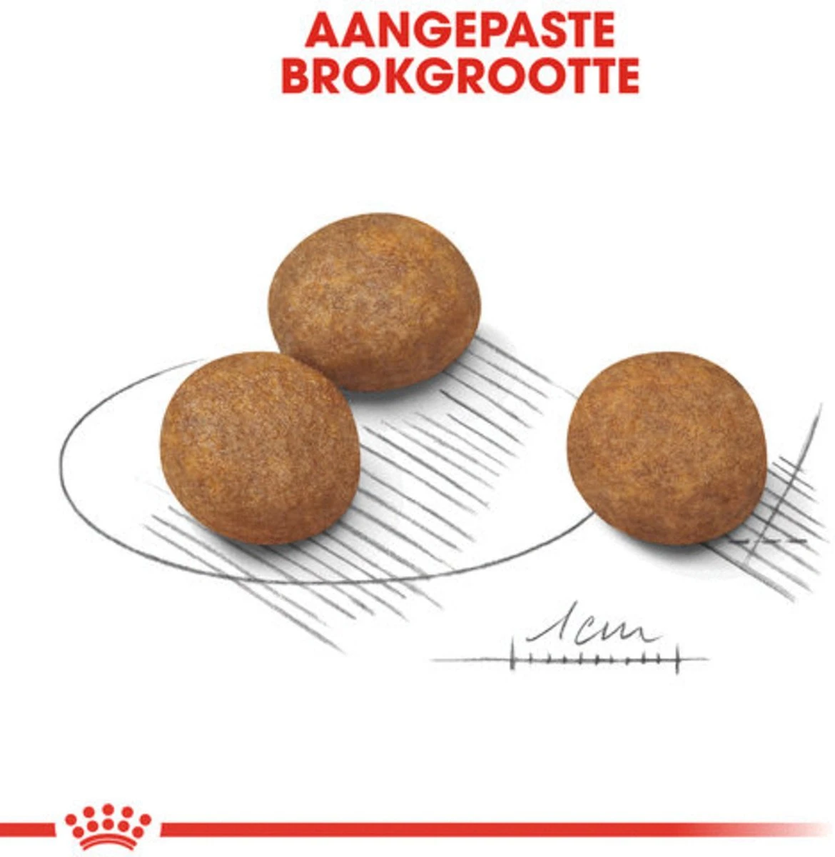 Royal Canin Maxi Junior - Hondenvoer - 10 Kg - Afbeelding 3