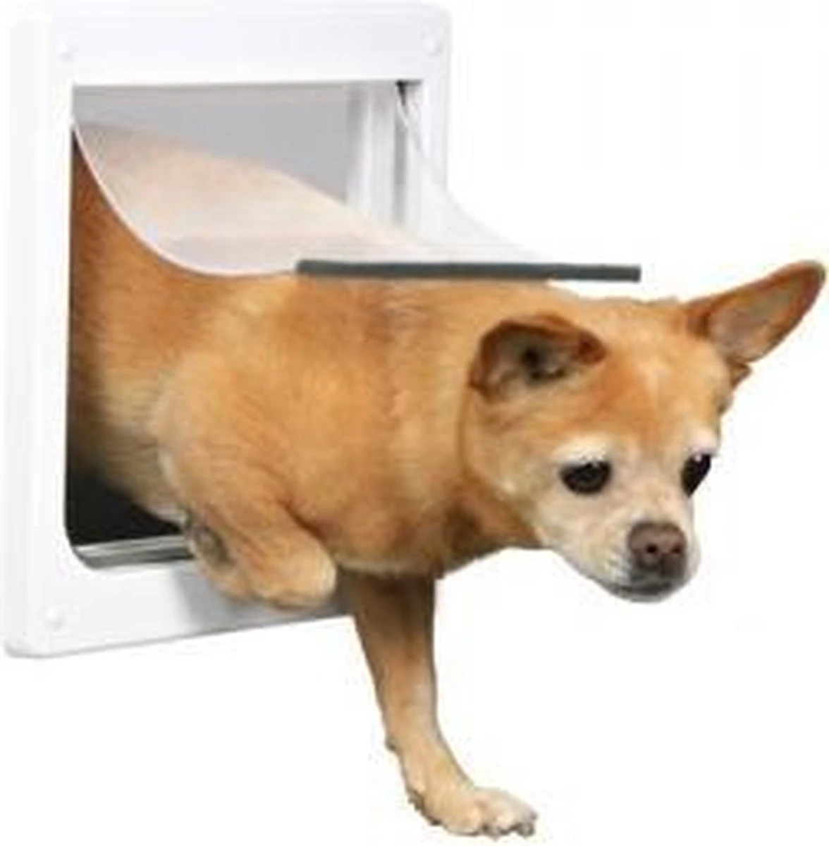 Trixie 2-Weg Hondenluik Wit - XS-S 25 X 29 CM - Afbeelding 4