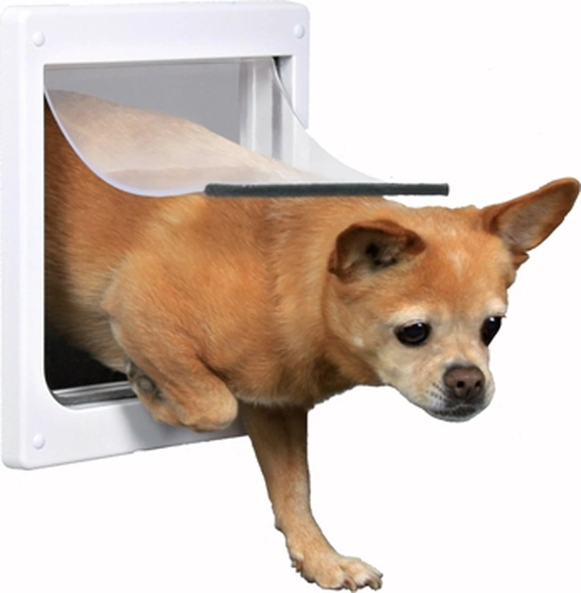 Trixie 2-Weg Hondenluik Wit - XS-S 25 X 29 CM - Afbeelding 6