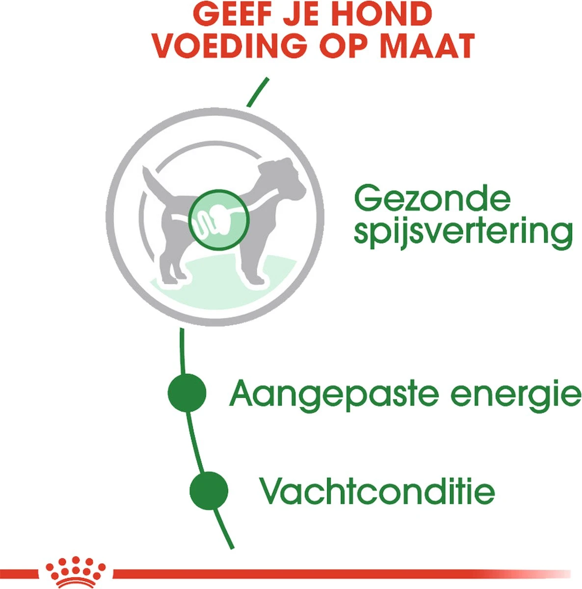 Royal Canin Shn Mini Adult Pouch - Hondenvoer - 12 X 85 G - Afbeelding 9