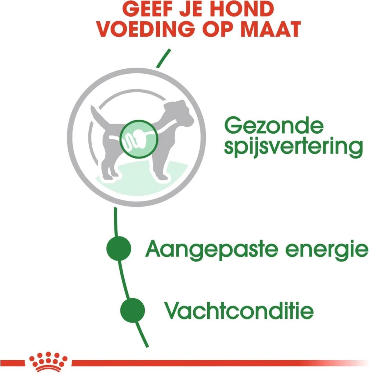 Royal Canin Shn Mini Adult Pouch - Hondenvoer - 12 X 85 G - Afbeelding 3