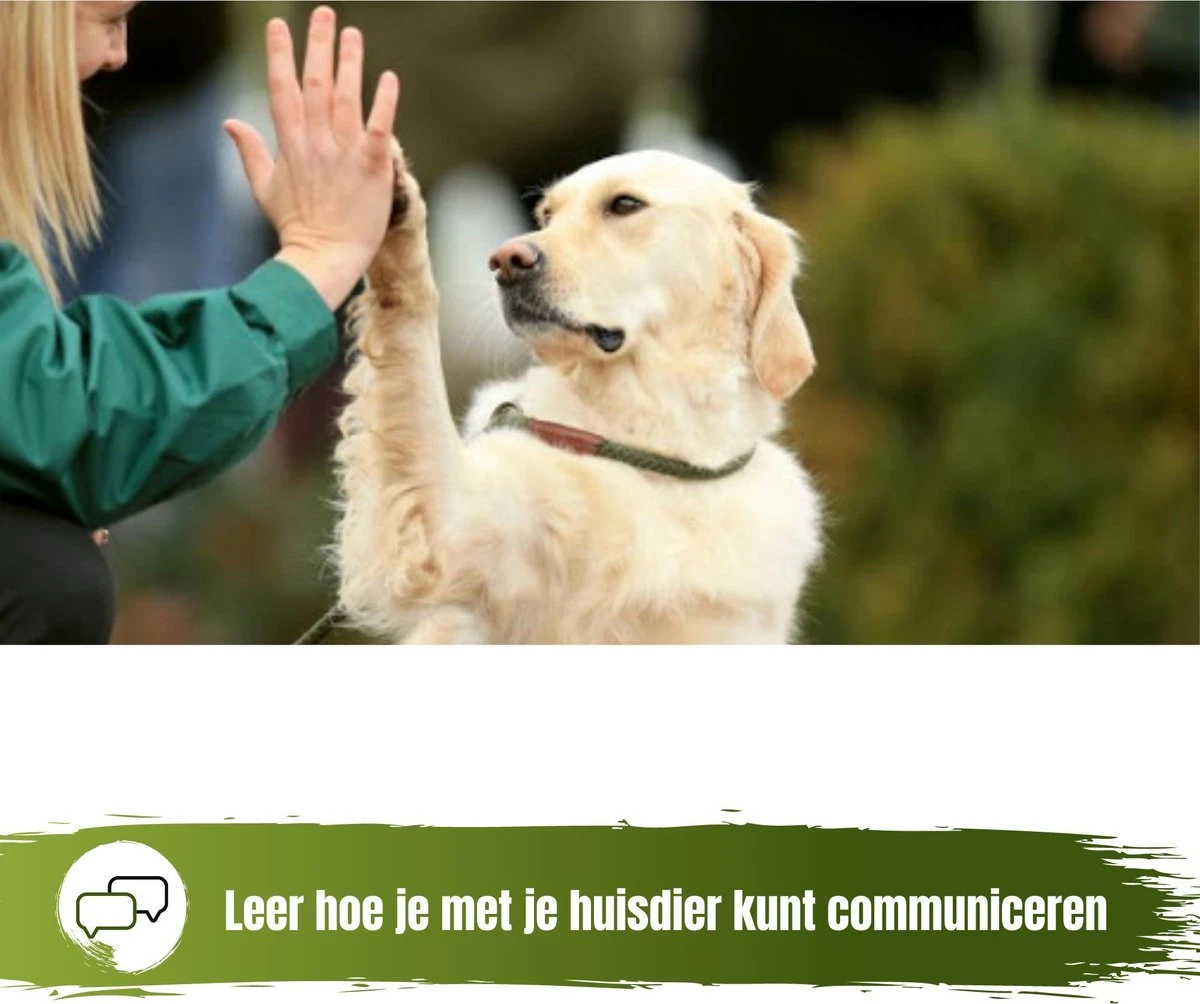 Merkloos Hondenbel Speeltje Voor Je Hond - Rood Zwart - Bel Voor Honden - Hondentraining - Honden - Training - Trainen - Hondenbel - Bel - Belletje - Hondenspeelgoed - Speeltje - Speelgoed - Puppytrainig - Puppie - Puppy - Spelen - Afbeelding 4