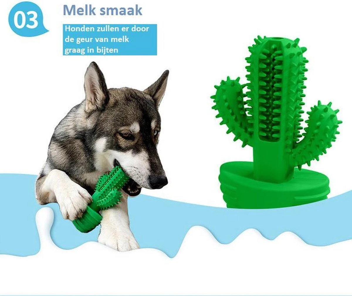 Tandenborstel + TANDPASTA Hond Melk Geur Smaak En Piep Honden Speelgoed - Cactus Dog Toy Tandverzorging Kauwbotten Hondenspeelgoed Hondenbot Kauwstaaf Tanden Puppy Hondenspeeltje Sterk Kauwspeelgoed - Dutchwide - Afbeelding 4