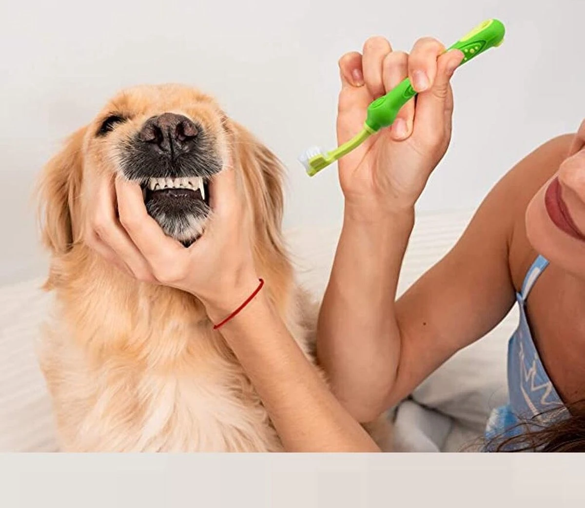 Merkloos Tandenborstel - Voor Huisdieren - Honden - 3 Zijdig - Multi-Hoek - Schoonmaken - Tanden - Slechte Adem - Tandsteen - Tandenborstel - Gezondheid - Blauw - Afbeelding 4