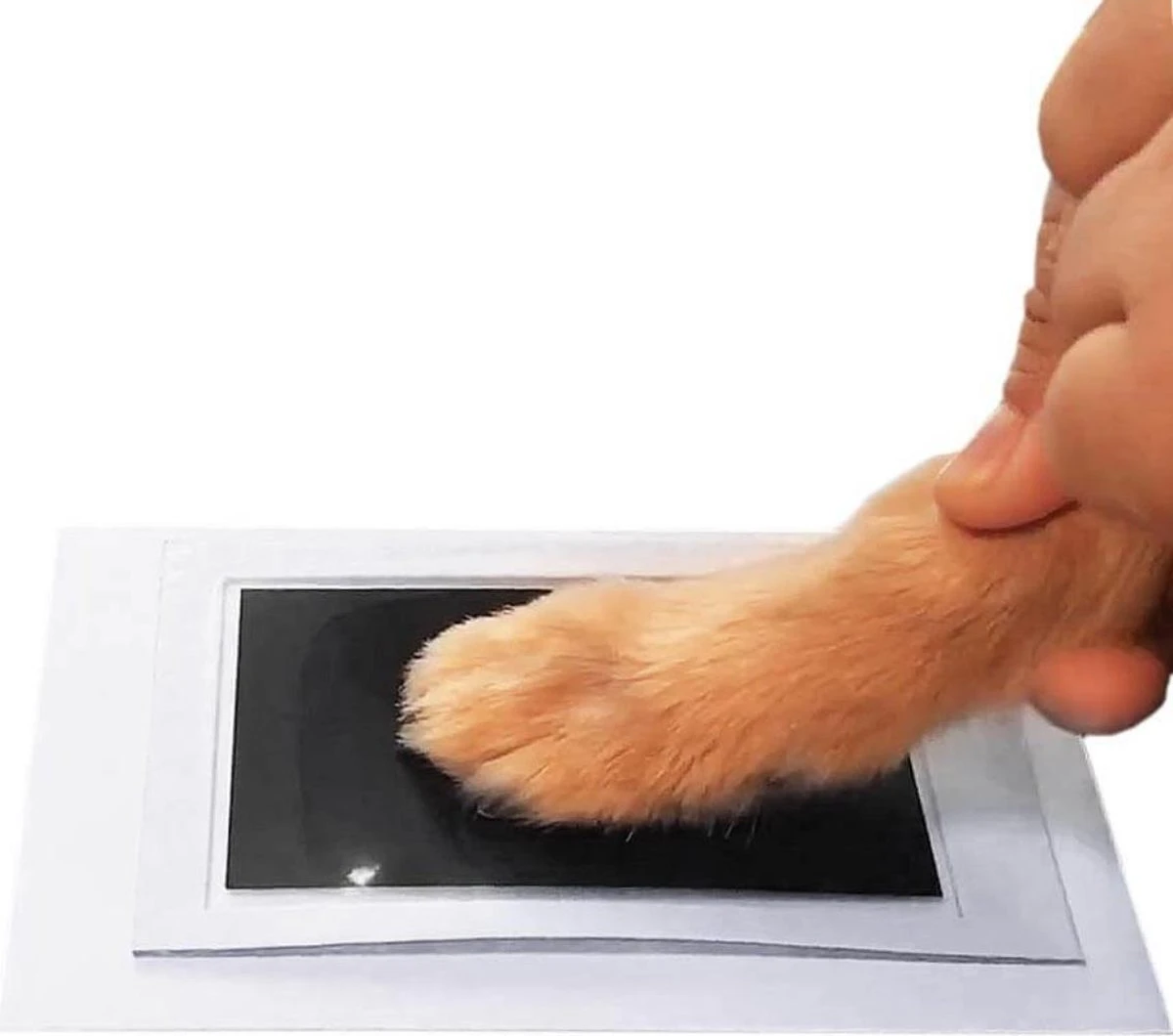 Merkloos Paw Print Pad - Pootafdruk Maken Van Hond Of Kat - Afbeelding 4
