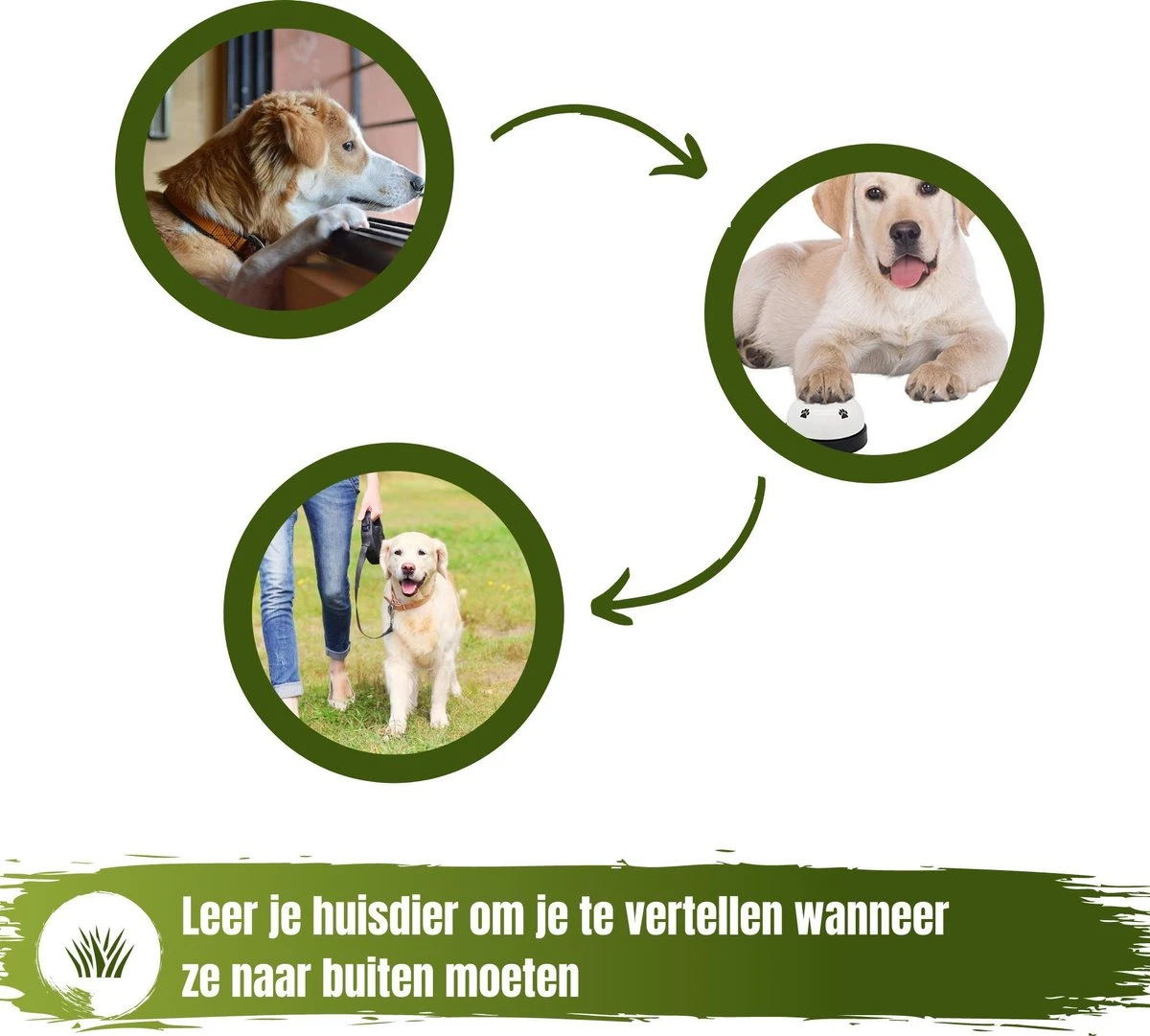 Merkloos Hondenbel Speeltje Voor Je Hond - Rood Zwart - Bel Voor Honden - Hondentraining - Honden - Training - Trainen - Hondenbel - Bel - Belletje - Hondenspeelgoed - Speeltje - Speelgoed - Puppytrainig - Puppie - Puppy - Spelen - Afbeelding 5