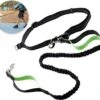 Hardloopriem Hond – Honden Riem Handsfree – Hardlopen Met Hond – 160-260 Cm Groen- Hardloopband Hond – Halsband Hond – Hondenlijn – Leiband Hond