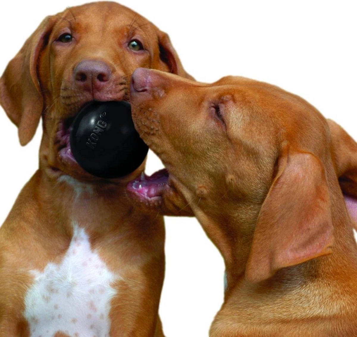 Kong Extreme Bal - Hondenspeelgoed - Zwart - S - Afbeelding 3