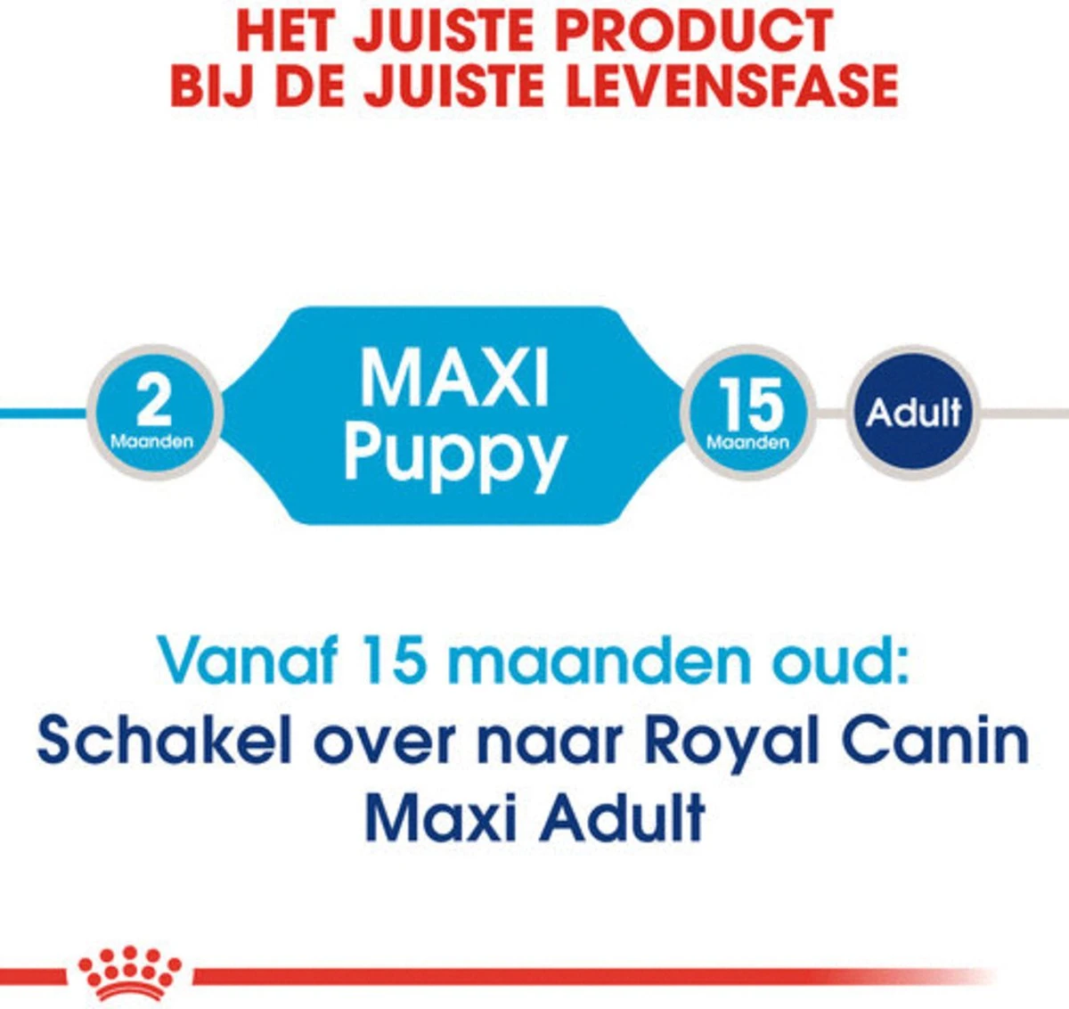 Royal Canin Maxi Junior - Hondenvoer - 10 Kg - Afbeelding 4