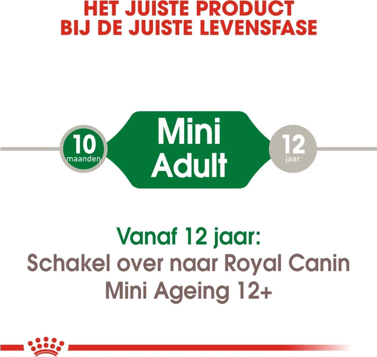 Royal Canin Shn Mini Adult Pouch - Hondenvoer - 12 X 85 G - Afbeelding 2