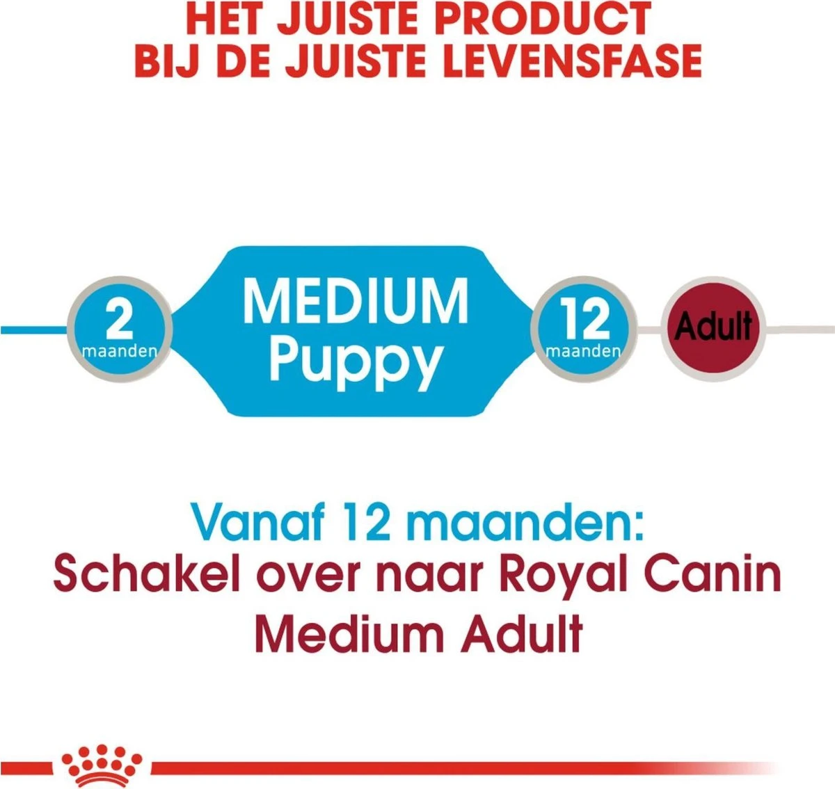 Royal Canin Shn Medium Puppy Pouch - Hondenvoer - 10 X 140 G - Afbeelding 10