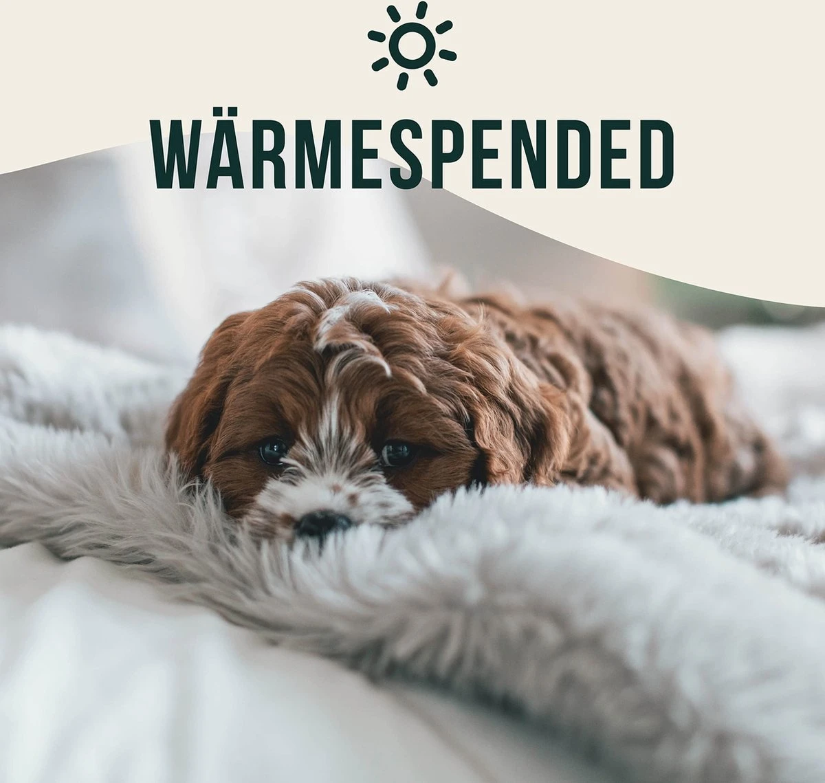 Happilax Fluffy Hondendeken Voor Auto & Bank, Wasbare Hondenmat Voor Op Reis, Grijs, L - Afbeelding 5