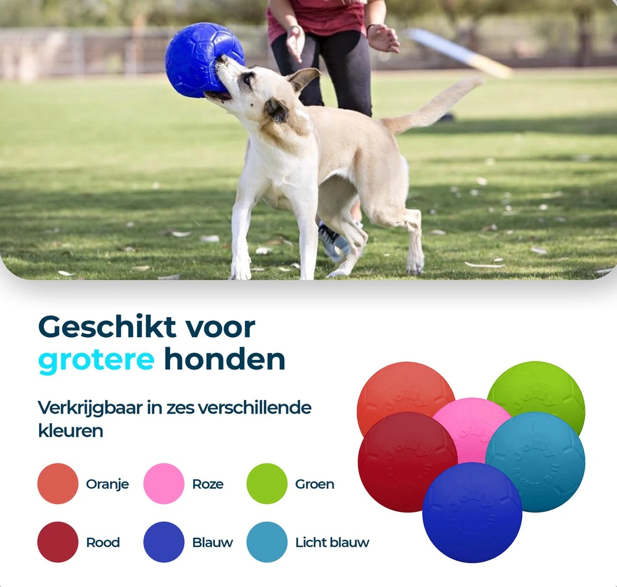 Jolly Pets Jolly Soccer Ball – Hondenspeelgoed – Hondenspeeltjes Voor Binnen En Buiten – Hondenbal Voor Honden – Hondenvoetbal – Jollyflex Stevig Kunststof – Drijvend Hondenspeeltje – Ø20cm – Licht Blauw - Afbeelding 6
