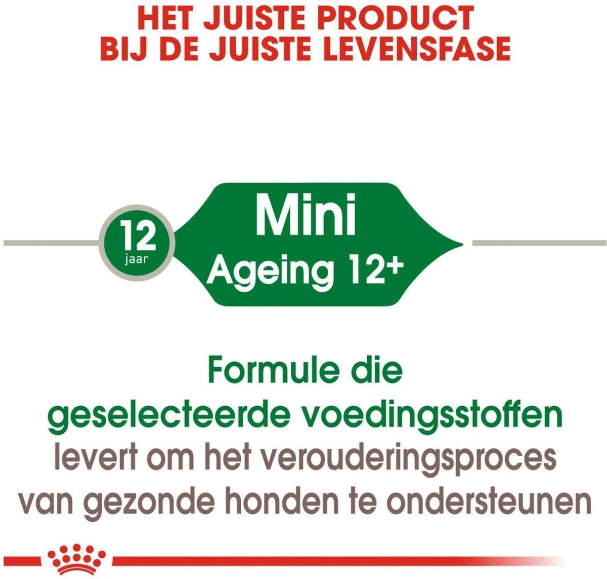 Royal Canin Shn Mini Ageing 12plus Pouch - Hondenvoer - 12x85 G - Afbeelding 6