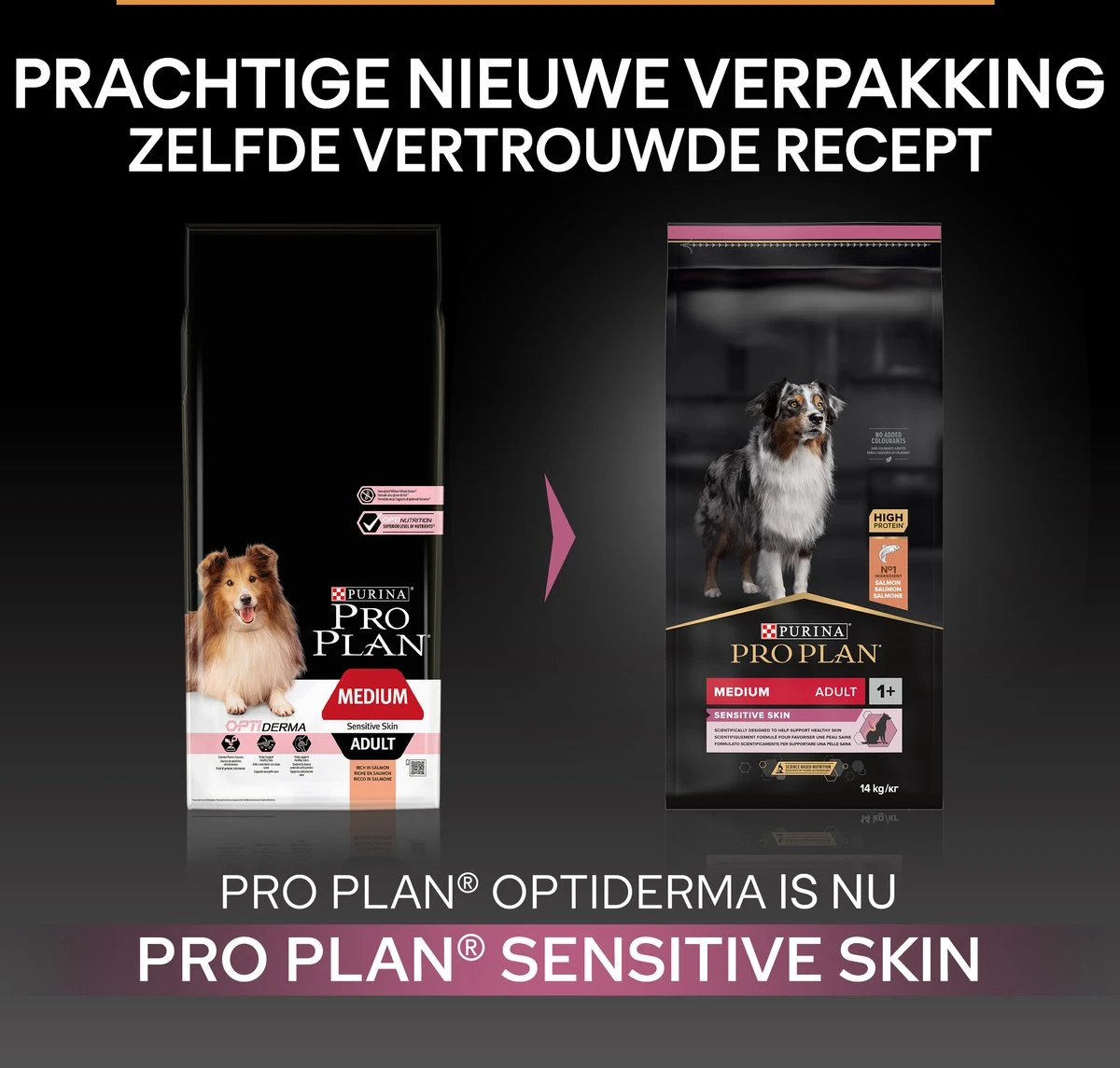 Pro Plan Medium & Large Adult 7+ (Senior) Sensitive Skin - Honden Droogvoer - Zalm - 14 Kg - Afbeelding 3