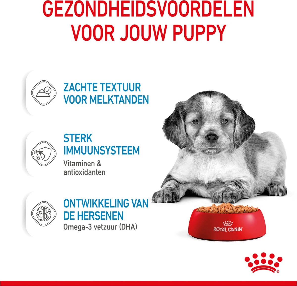 Royal Canin Shn Medium Puppy Pouch - Hondenvoer - 10 X 140 G - Afbeelding 5