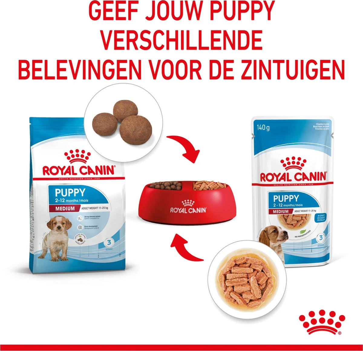 Royal Canin Shn Medium Puppy Pouch - Hondenvoer - 10 X 140 G - Afbeelding 7