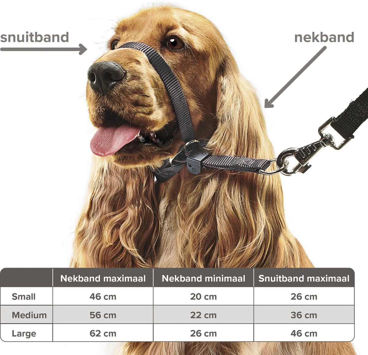 Beaphar Gentle Leader - Zwart - 54 Cm - Grote Honden - Afbeelding 3
