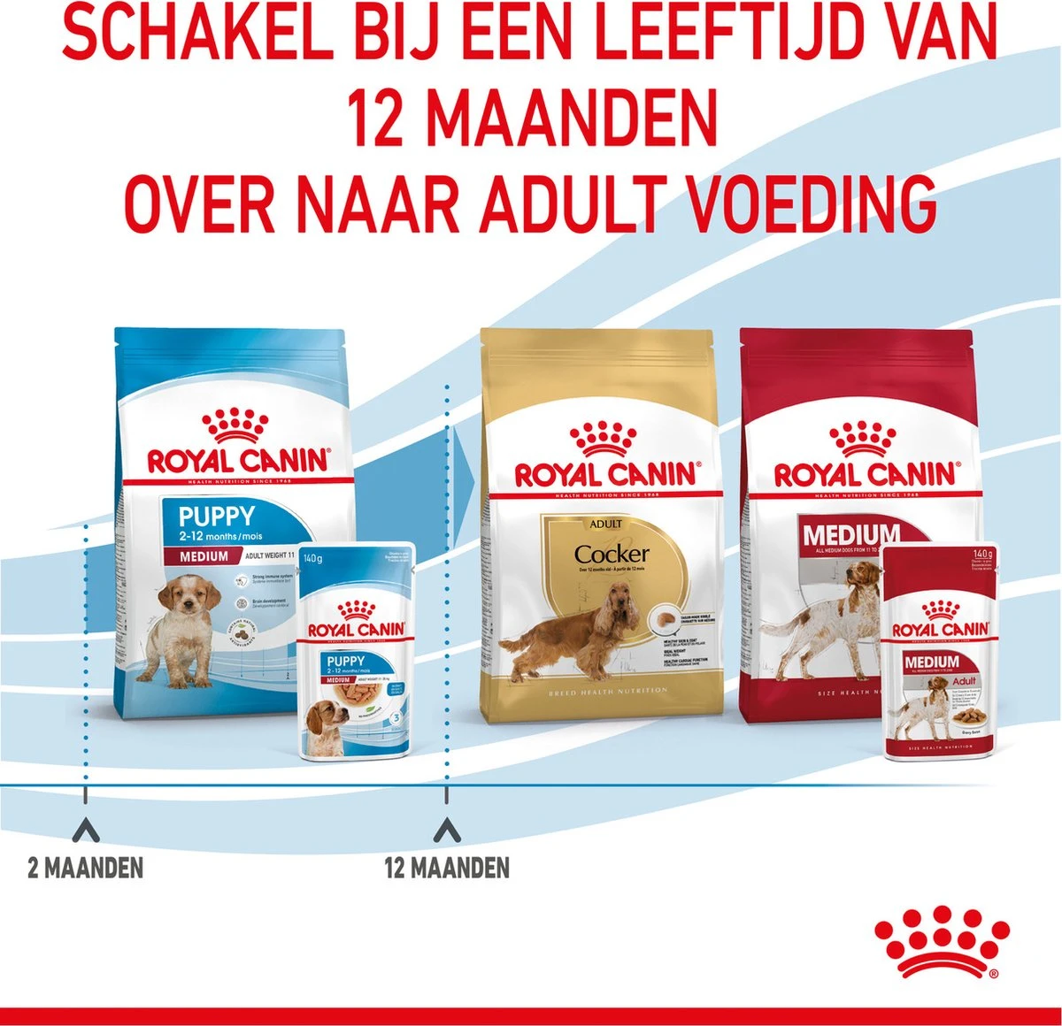Royal Canin Shn Medium Puppy Pouch - Hondenvoer - 10 X 140 G - Afbeelding 11