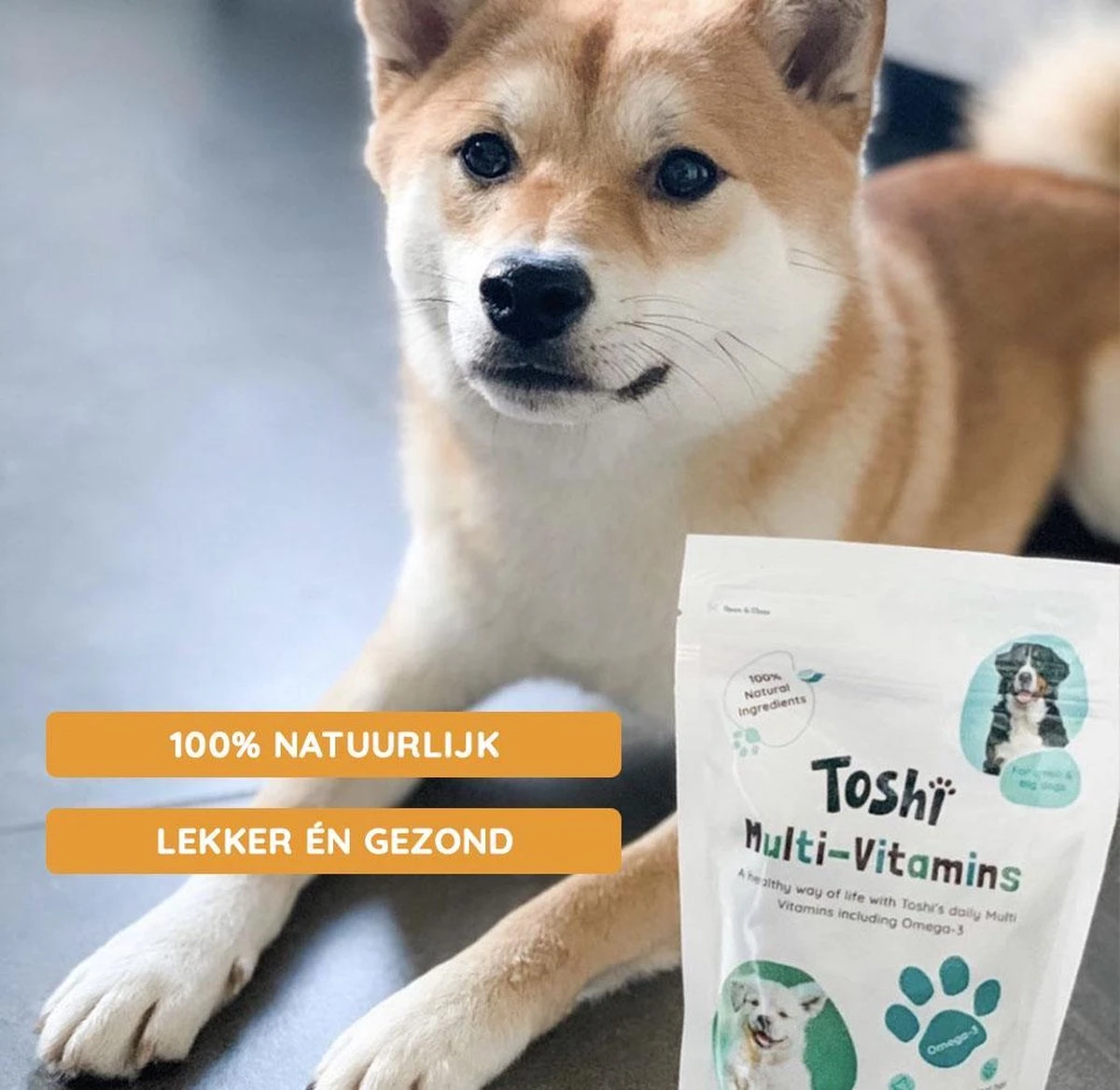 Toshi Multi Vitaminen Met Omega-3 - 100% Natuurlijke Hondensnack Voor Kleine En Grote Honden - Hondenkoekjes Voor Een Gezonde Levensstijl - Afbeelding 6