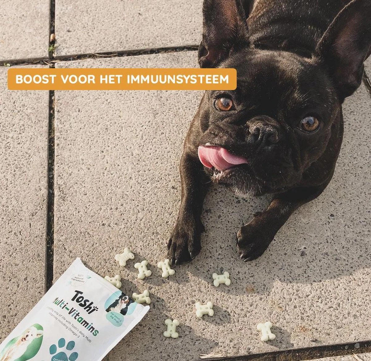 Toshi Multi Vitaminen Met Omega-3 - 100% Natuurlijke Hondensnack Voor Kleine En Grote Honden - Hondenkoekjes Voor Een Gezonde Levensstijl - Afbeelding 7