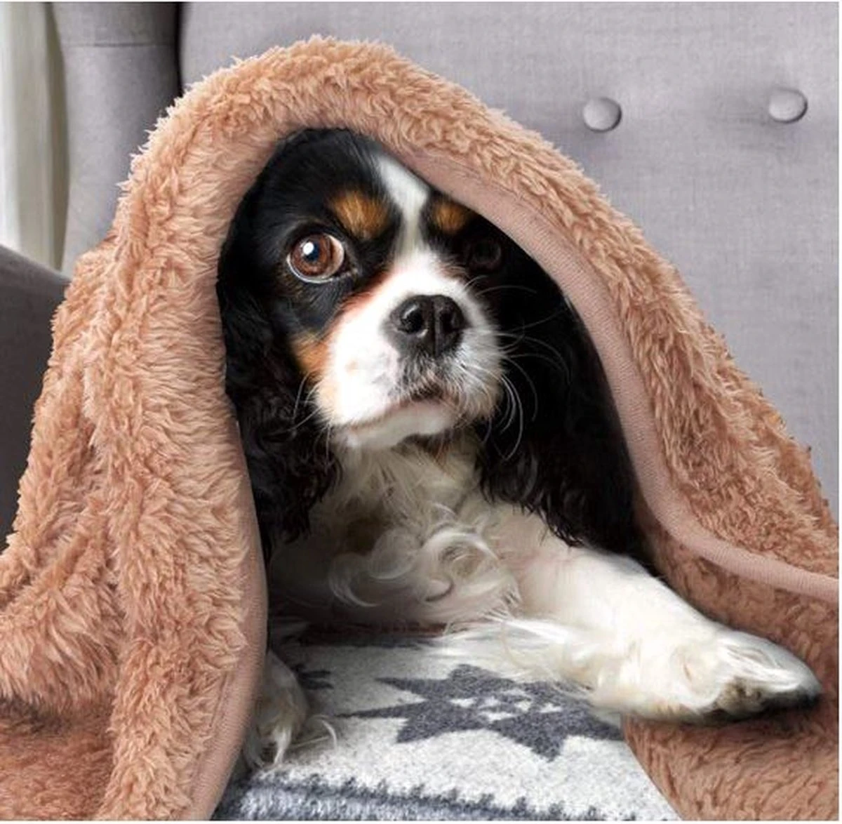 Nobleza Dierendeken - Pluche Deken - Hondendeken - Kattendeken - Deken Hond - Deken Kat - Dierendeken - Bruin - Maat L - Afbeelding 2