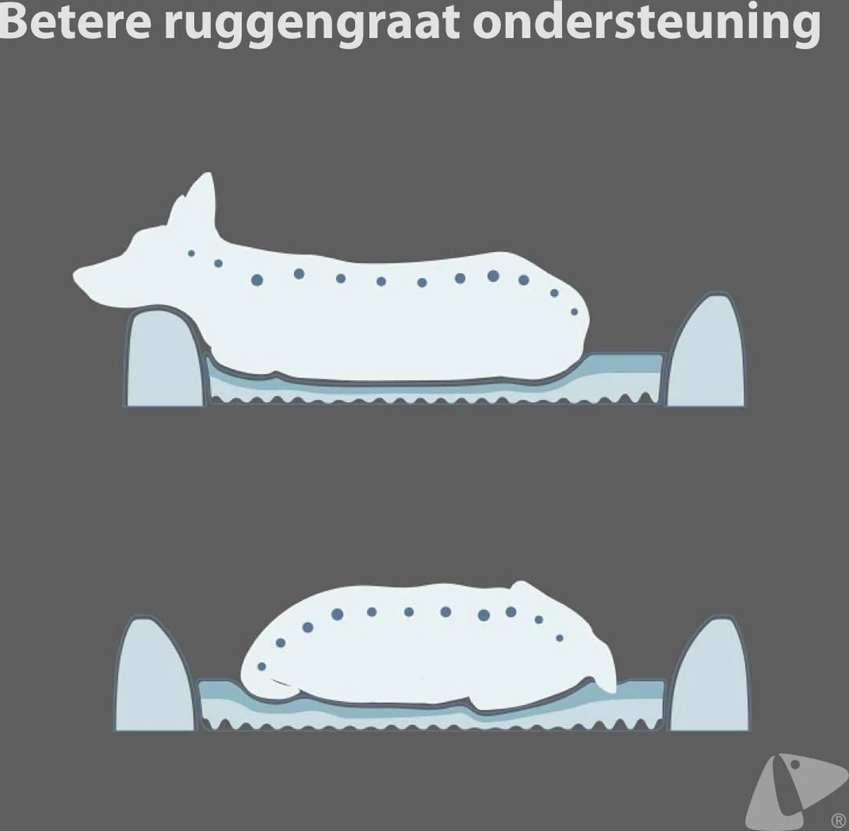 PETKIT® Four Season - Hondenmand - Kattenmand - Wasbaar - Memory Foam - Maat L - Afbeelding 7