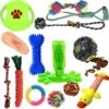Filo Honden Speelgoed Set 14 Stuks - Hondenspeeltjes Knuffel - Hondenbal - Flostouw - Bot - Frisbee - Hondentouw - Hondenspeelgoed Intelligentie - Kauwspeelgoed Hond En Puppy - Bijtspeelgoed Hondenknuffel - Hondenspeeltje Met Piep