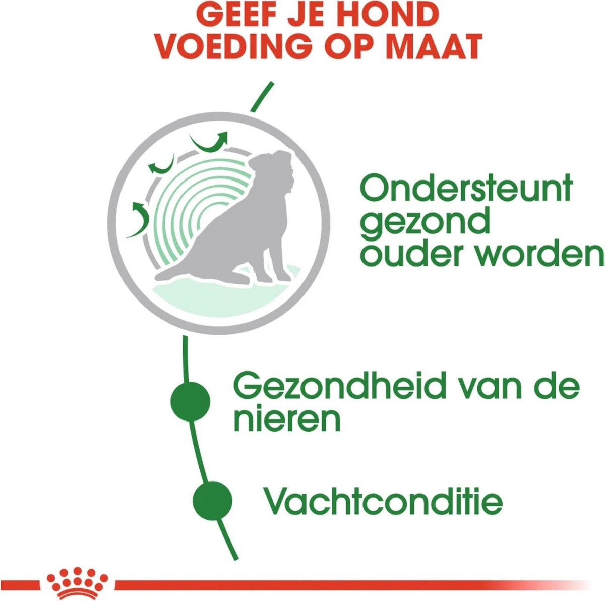 Royal Canin Shn Mini Ageing 12plus Pouch - Hondenvoer - 12x85 G - Afbeelding 2