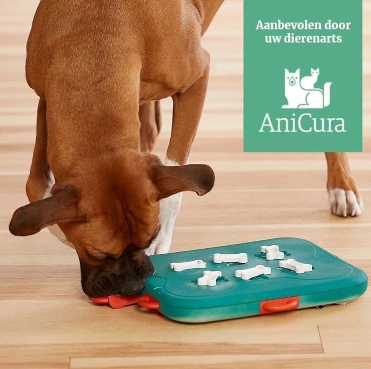 Nina Ottosson Dog Casino - Turquoise/Oranje - 31,5 X 26 X 4,5 Cm - Afbeelding 9