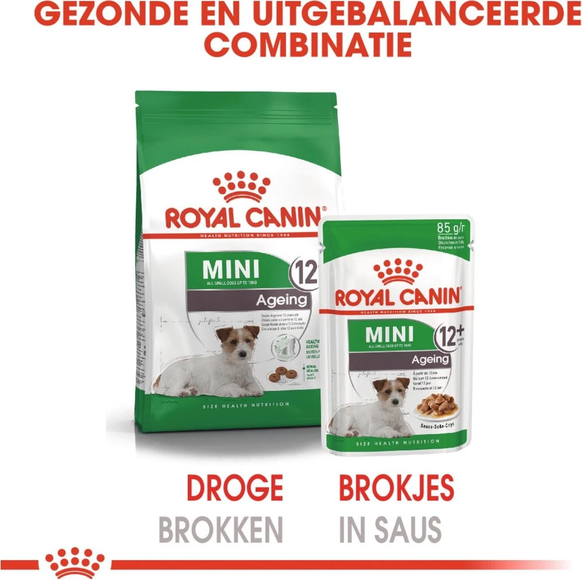 Royal Canin Shn Mini Ageing 12plus Pouch - Hondenvoer - 12x85 G - Afbeelding 4