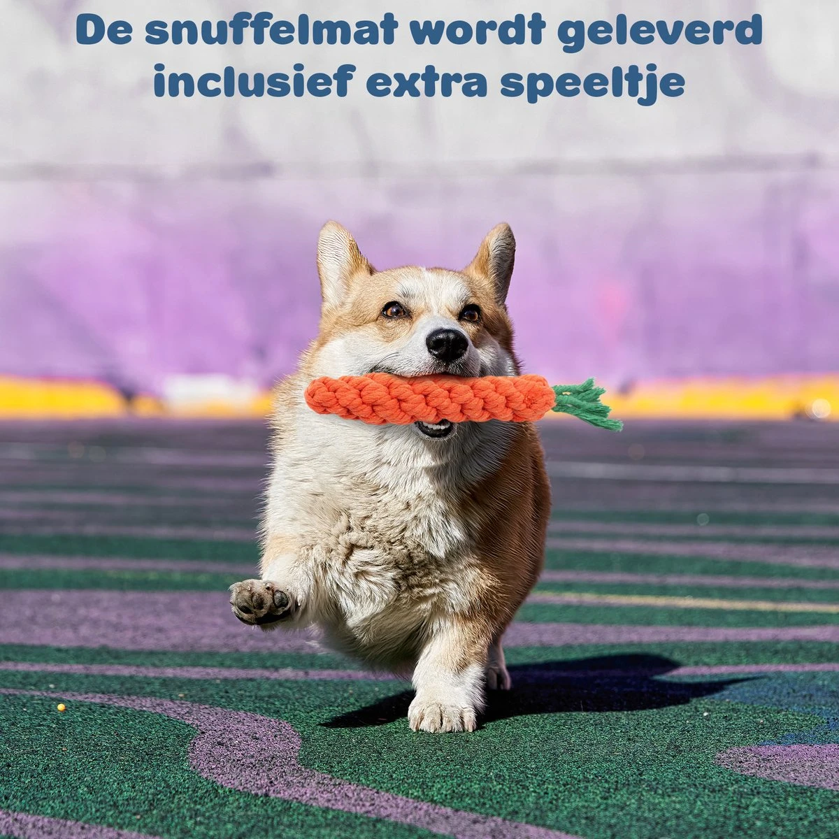 Snuffelmat Hond - Likmat Hond - Honden Speelgoed Intelligentie - Anti Schrokbak Hond - Honden Speeltjes - 100cmx100cm - Afbeelding 7