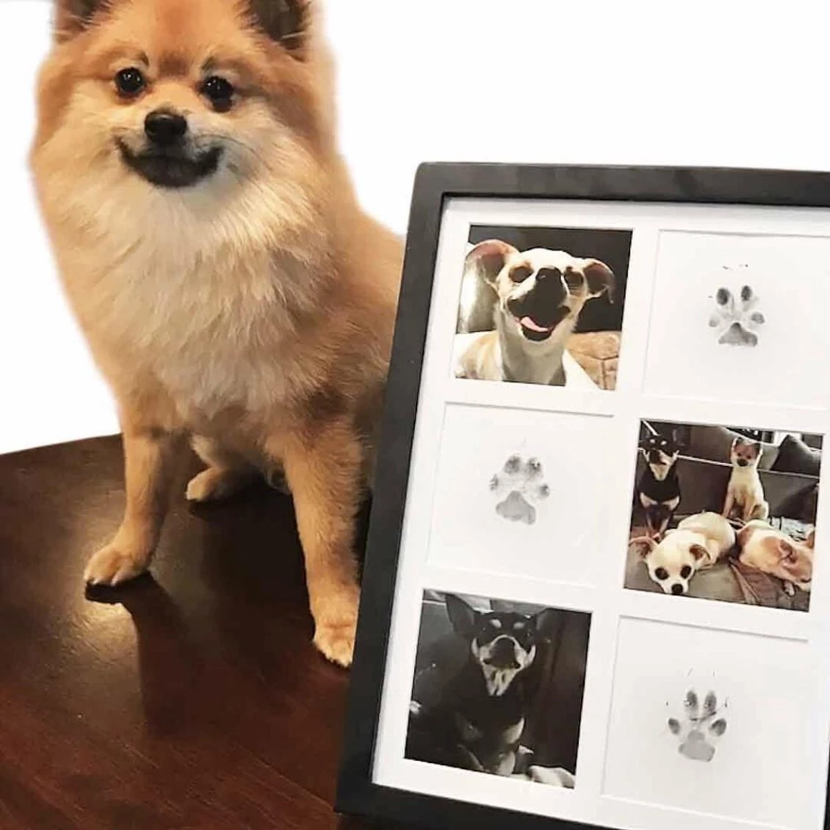 Merkloos Paw Print Pad - Pootafdruk Maken Van Hond Of Kat - Afbeelding 3