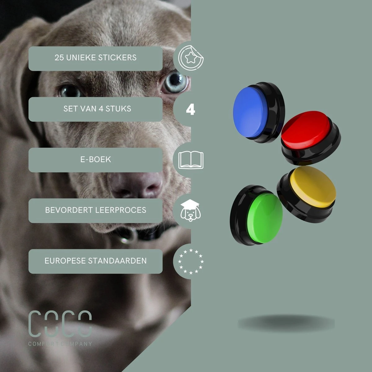 Comfort Company Praatknop Hond | Dogbuttons – Honden Speelgoed | Honden Speelgoed Intelligentie | 4 Stuks | Agility Voor De Hond | 30 Seconden Opnamen | Honden Training - Afbeelding 2