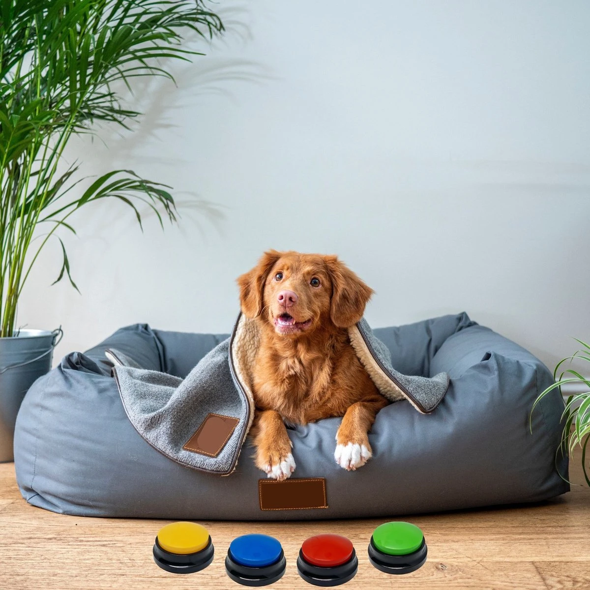 Comfort Company Praatknop Hond | Dogbuttons – Honden Speelgoed | Honden Speelgoed Intelligentie | 4 Stuks | Agility Voor De Hond | 30 Seconden Opnamen | Honden Training - Afbeelding 9