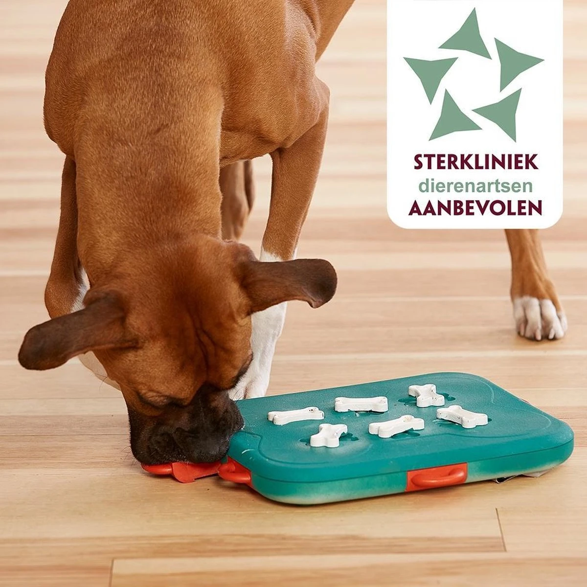 Nina Ottosson Dog Casino - Turquoise/Oranje - 31,5 X 26 X 4,5 Cm - Afbeelding 4