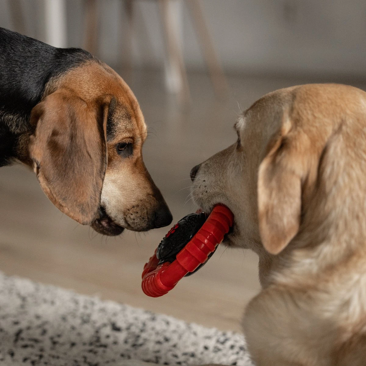 Kauwbot Stuurwiel 2.0 Extra Sterk Melk Geur Smaak En Piep Honden Speelgoed - Kauwspeelgoed Bot Hond - Dutchwide - Afbeelding 7