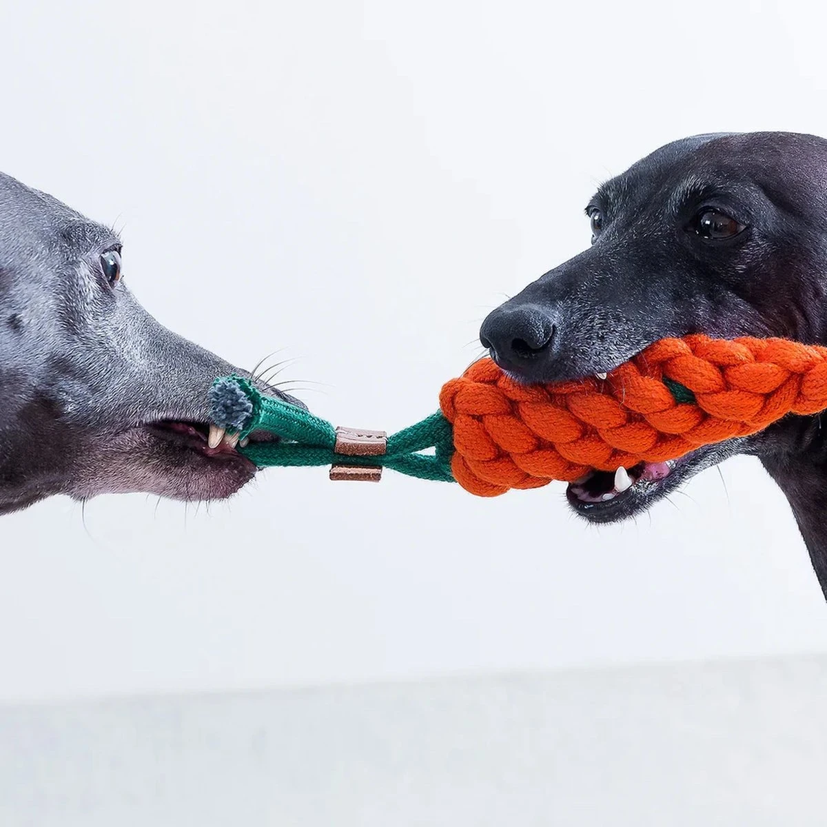 NufNuf - Hondenspeelgoed - Wortel - Stevig En Duurzaam Designspeelgoed - Afbeelding 3