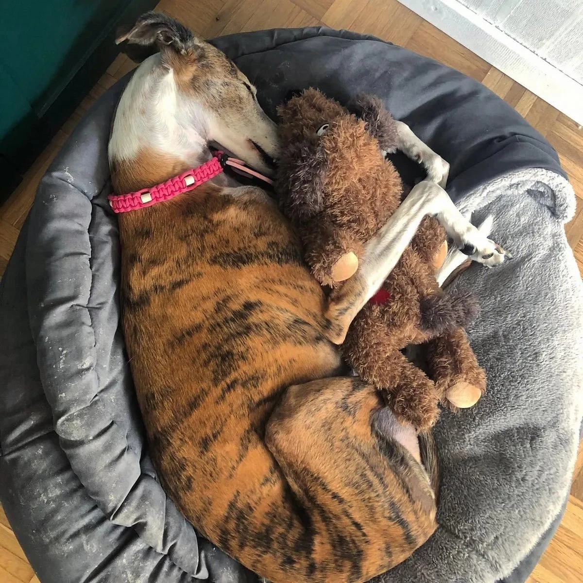 Merkloos Hondenknuffel - Puppyknuffel Met Hartslag - Knuffel Met Hartslag - Antistress Hond - Hondenspeelgoed - Afbeelding 6