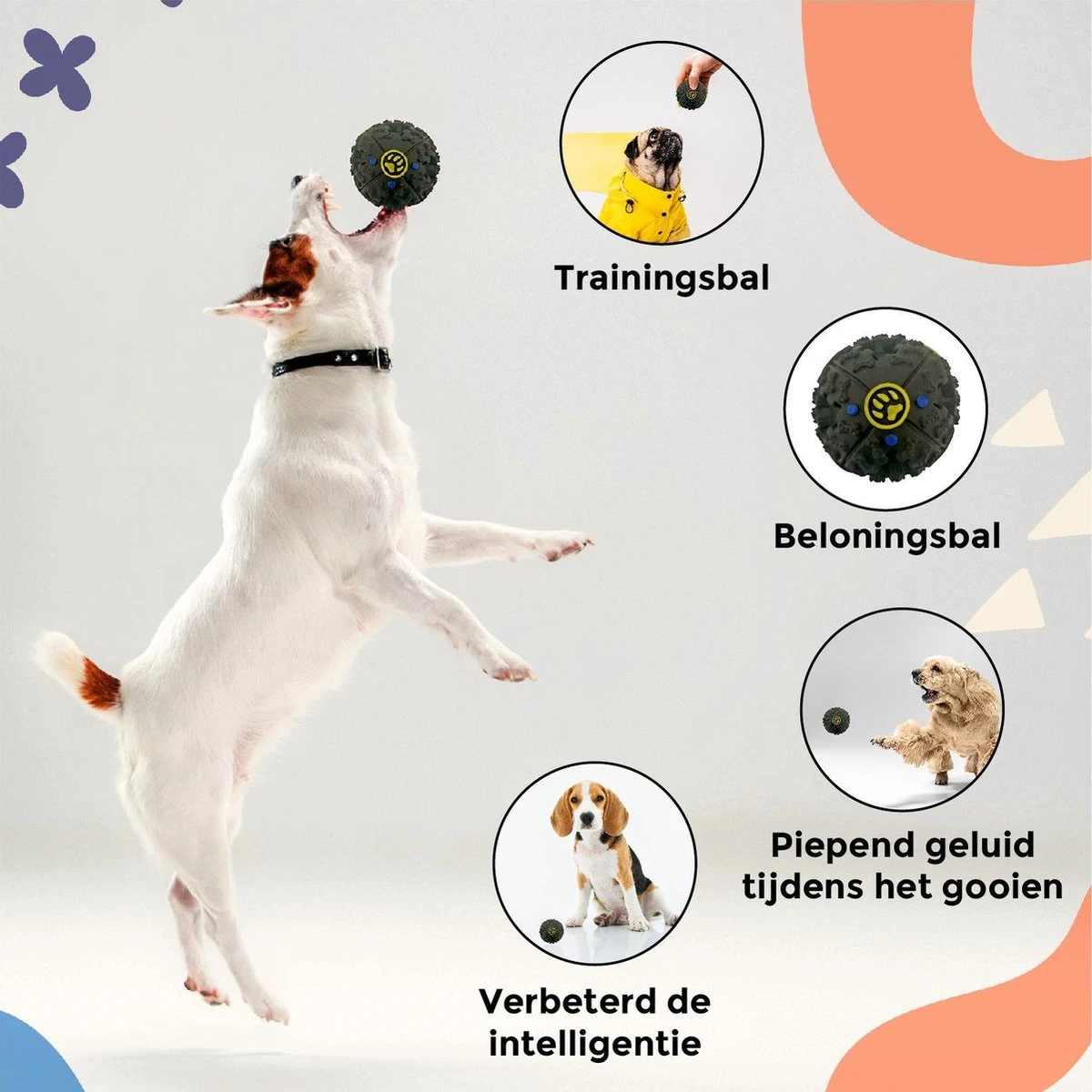 Luxury Diversity - Honden Speelgoed - 12 Honden Speeltjes - Puppy Speelgoed - Honden - Honden Speelgoed Intelligentie - Afbeelding 2