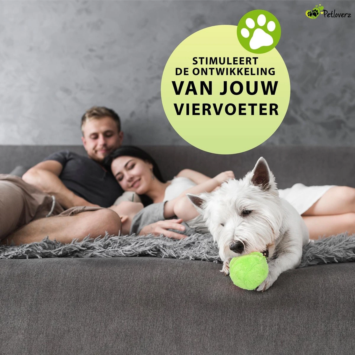 Petloverz Magic Roller Ball – Honden Speelgoed – Premium Automatische Rollende Bal - Afbeelding 8