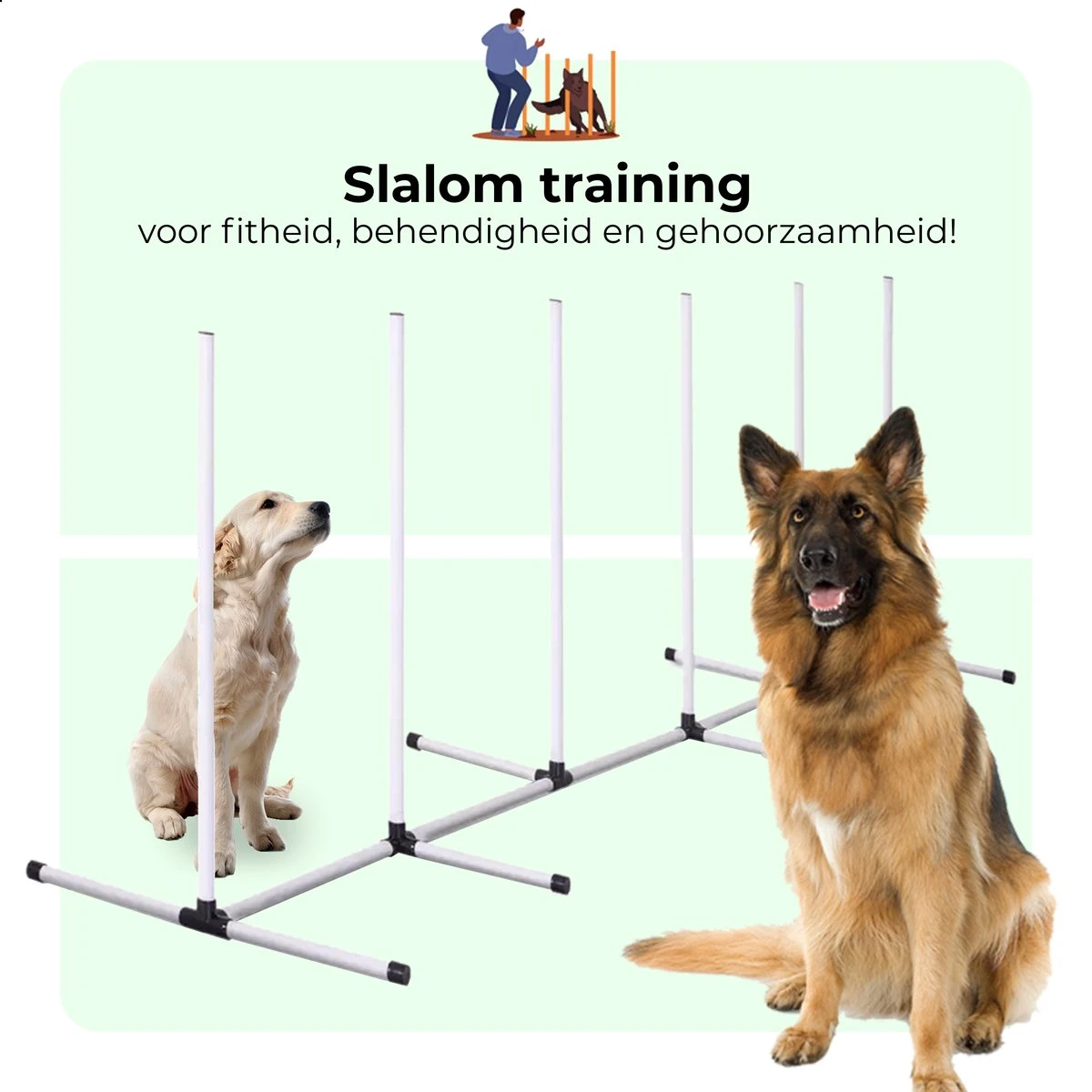 AYOO Agility Voor De Hond - Honden Training - Honden Behendigheid Set - Hondenparcours - Training Huisdieren - Honden Agility Set - Slalom - Horde - Draagzak - Agility Set - Oranje - Wit - GRATIS Speeltouw - Afbeelding 5