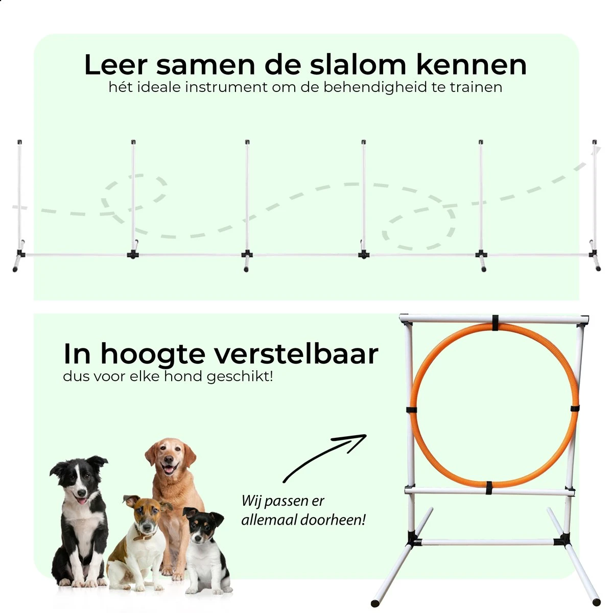 AYOO Agility Voor De Hond - Honden Training - Honden Behendigheid Set - Hondenparcours - Training Huisdieren - Honden Agility Set - Slalom - Horde - Draagzak - Agility Set - Oranje - Wit - GRATIS Speeltouw - Afbeelding 7