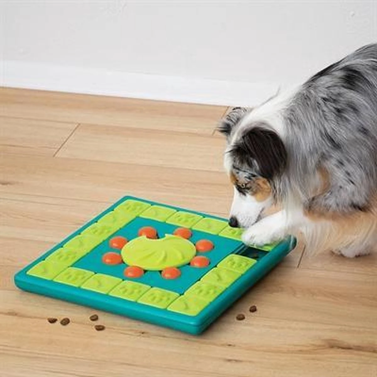 Nina Ottosson Interactieve Hondenpuzzel Vulbaar Met Snacks Voor De Slimste Honden - Outward Hound Multipuzzle - Afbeelding 6