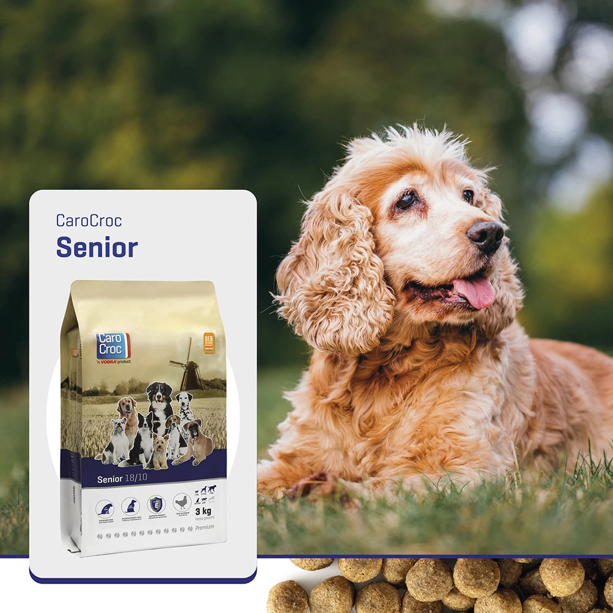 Carocroc Senior Silver 18/10 - Hondenvoer - 15 Kg - Afbeelding 7