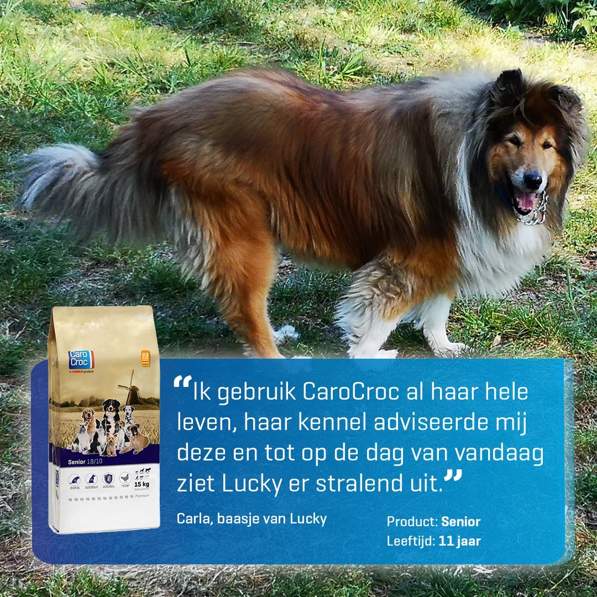 Carocroc Senior Silver 18/10 - Hondenvoer - 15 Kg - Afbeelding 10